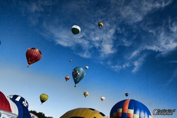 Fly