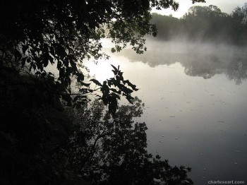 Foggy River