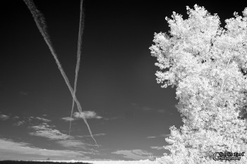 Trails