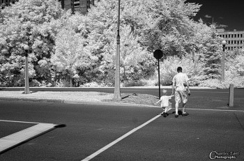 Summer Stroll